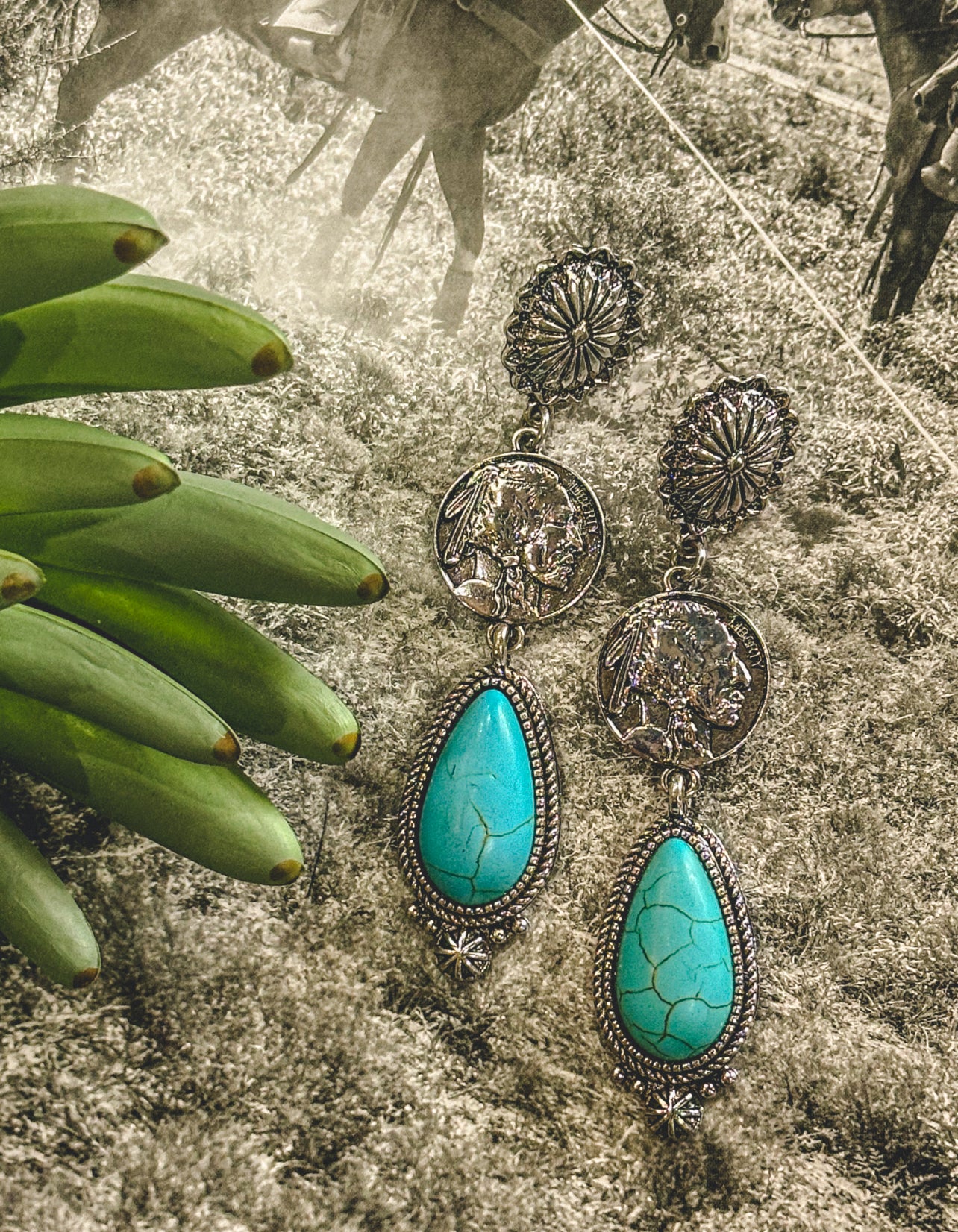 The Navajo Earrings