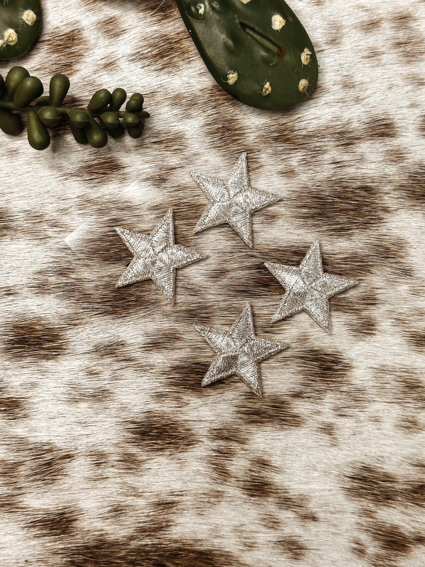 The Silver Star Patch