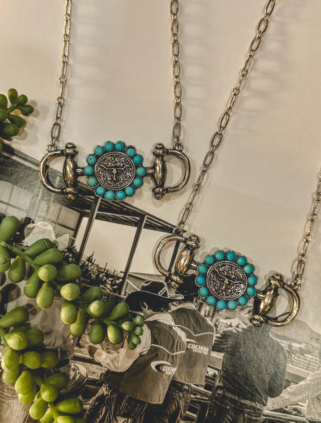 The Cisco Necklace
