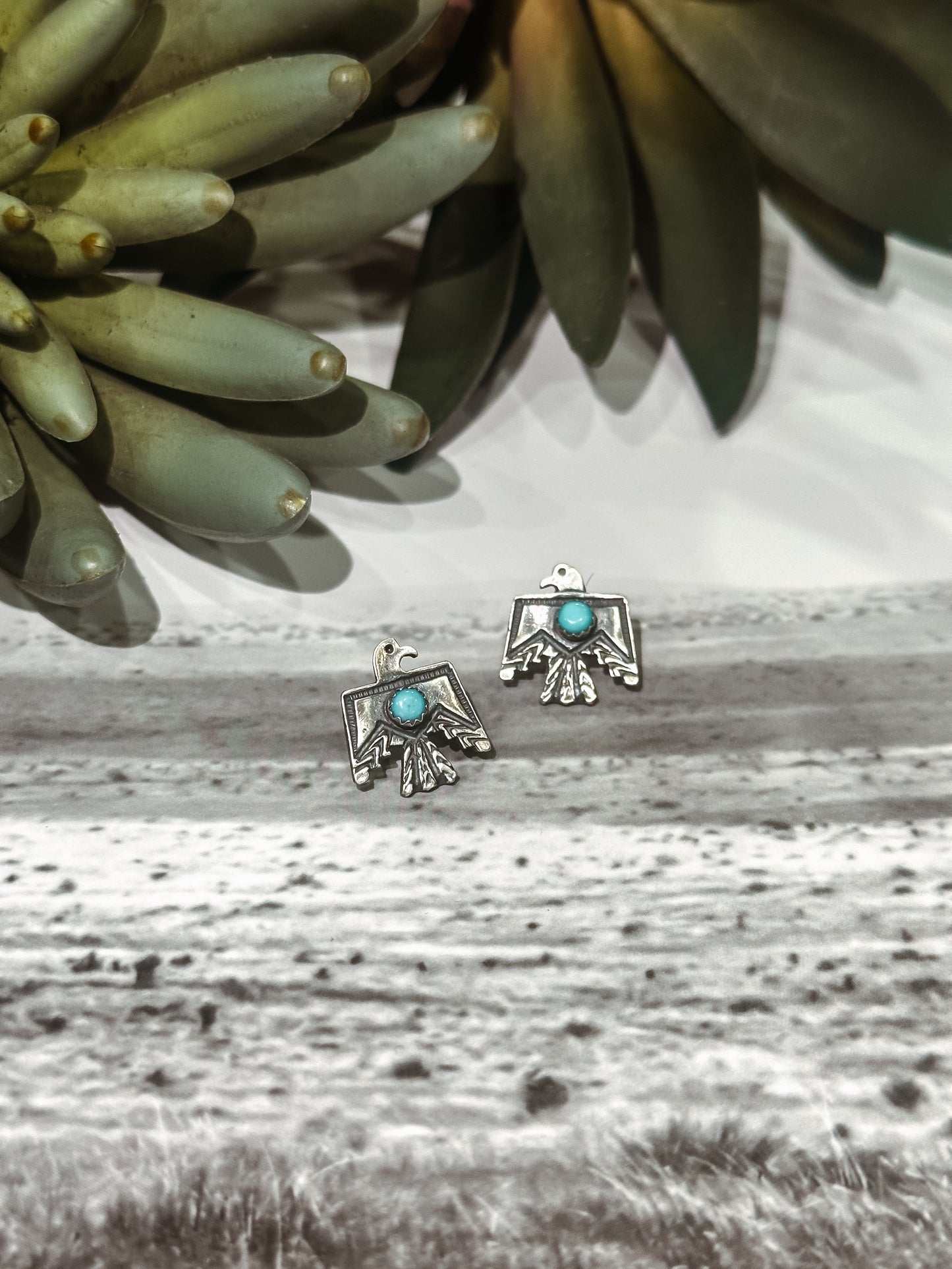 The Thunderbird Earrings