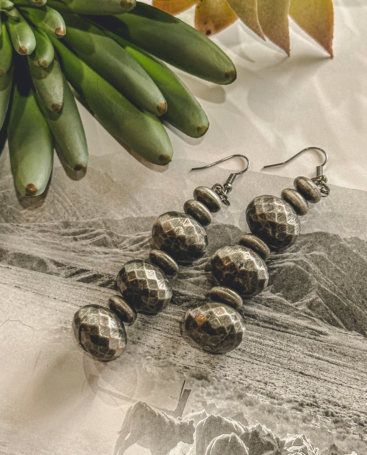 The Shiner Earrings