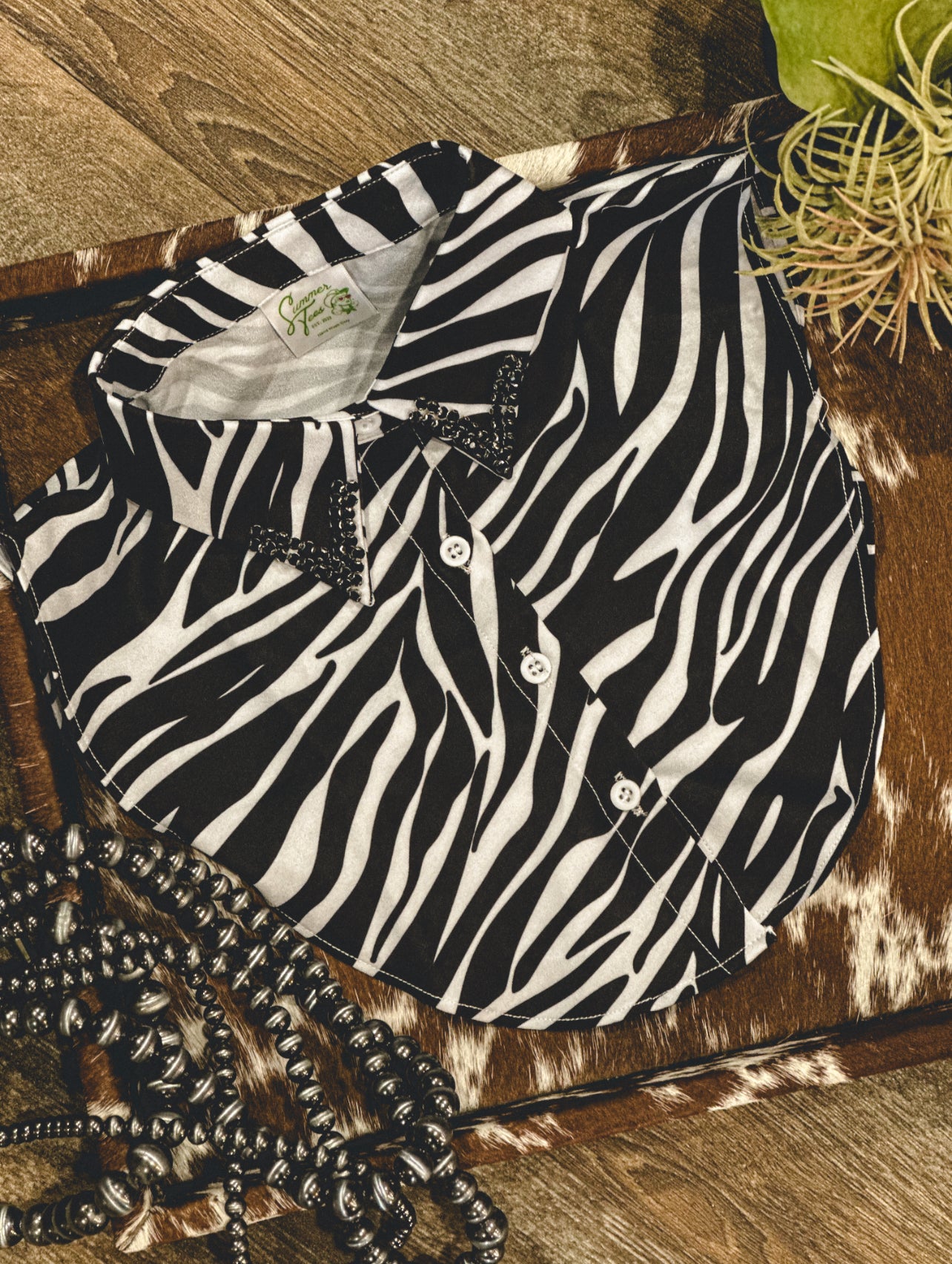 The Zebra Corporate Collar