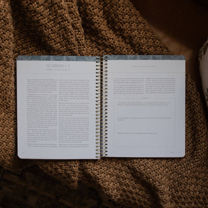 A Year in the Bible | 365 Days of Discovering the Beauty of Jesus from Genesis to Revelation | Volume 1