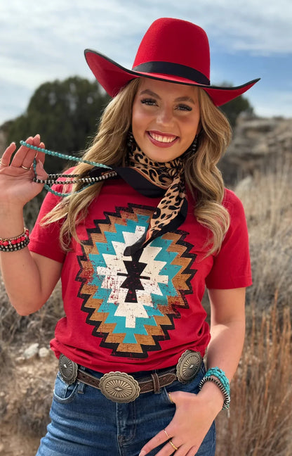 Cheyenne Aztec