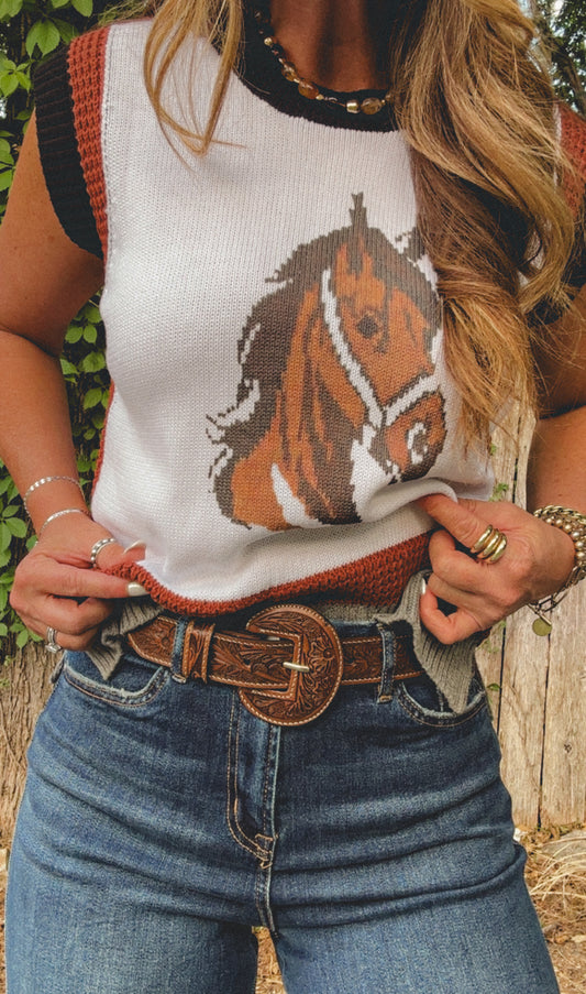 Talon High Desert Belt-Brown