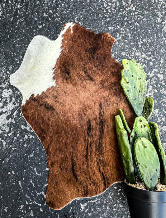 The Kelce Calf Hide