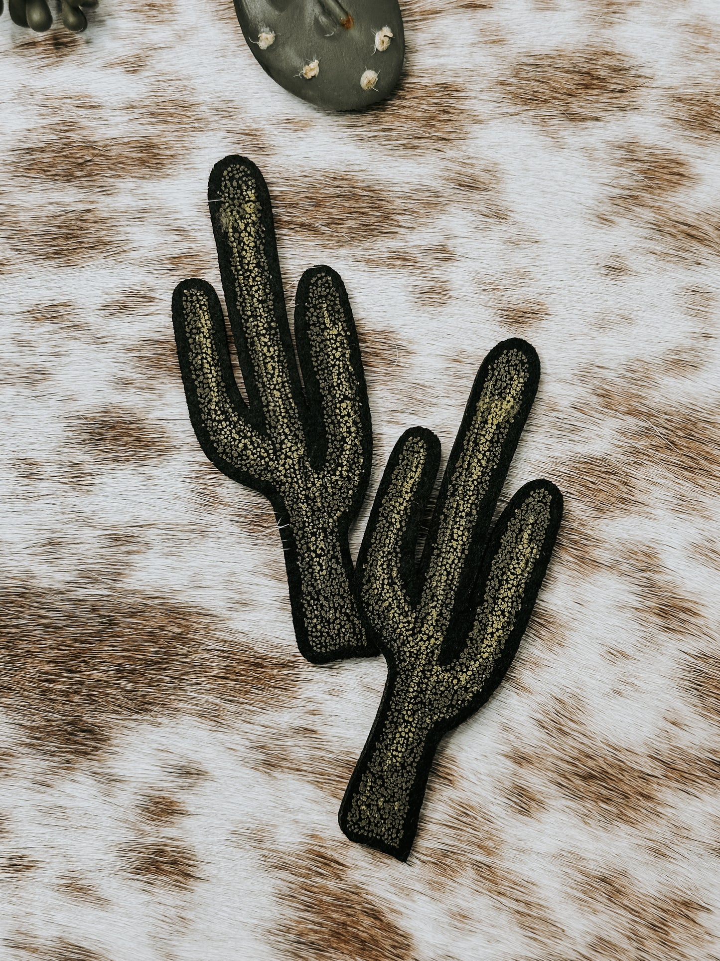 The Saguaro Patch
