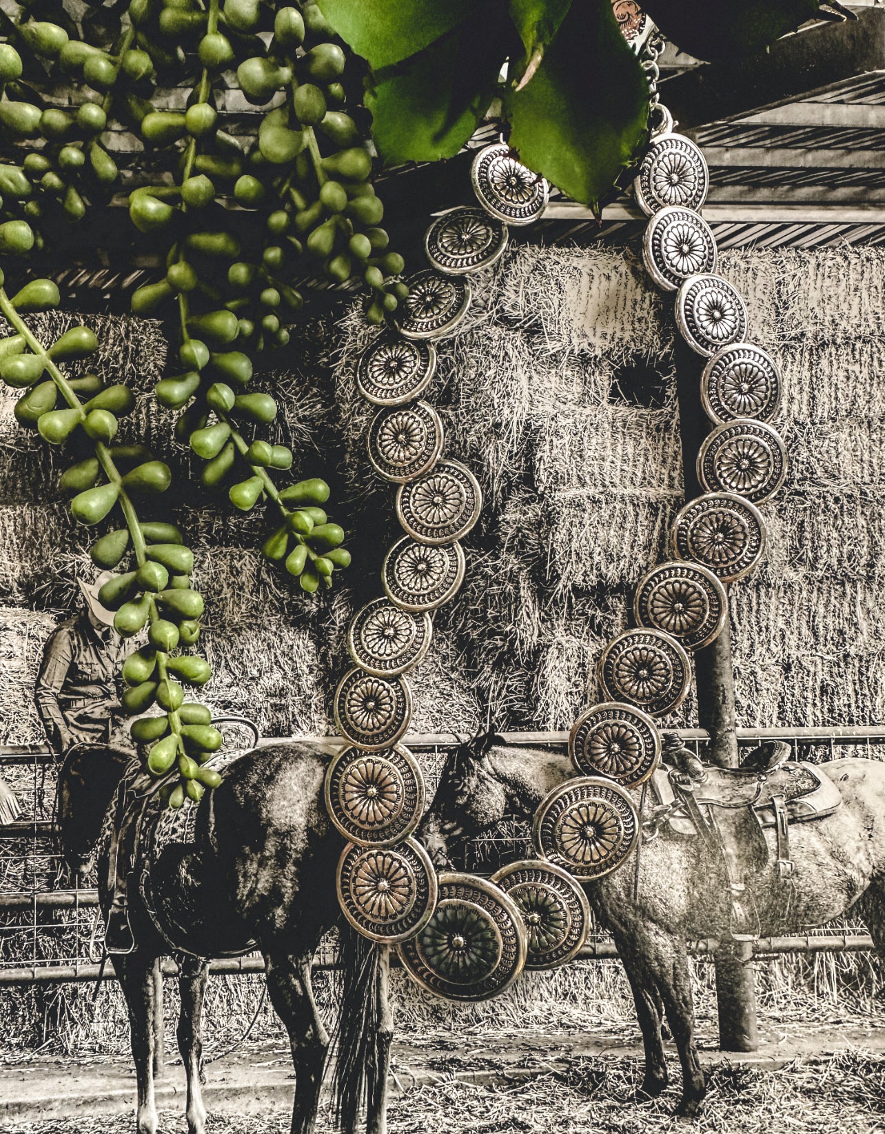 The Round Top Necklace