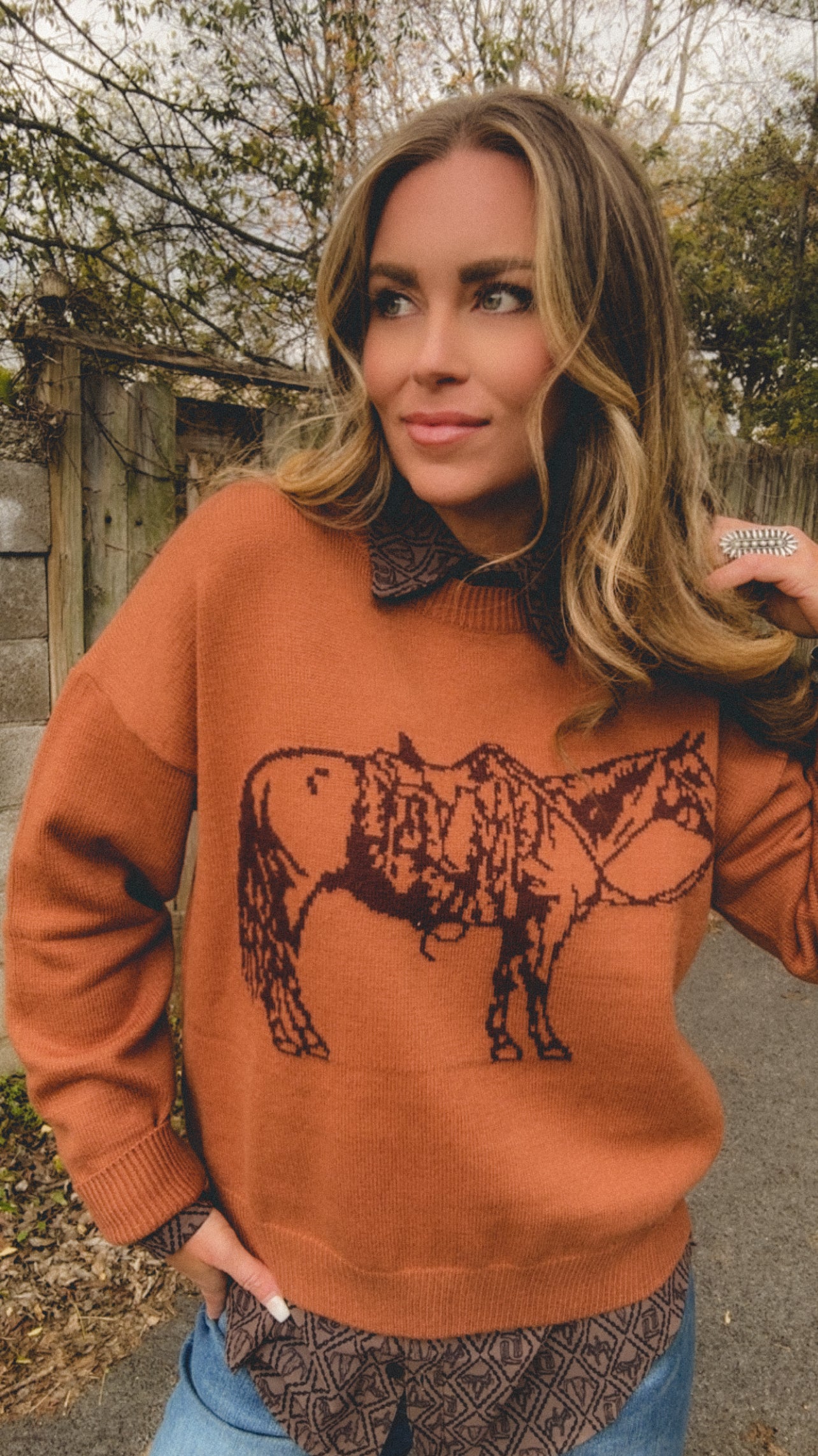 The Cowpony Crewneck