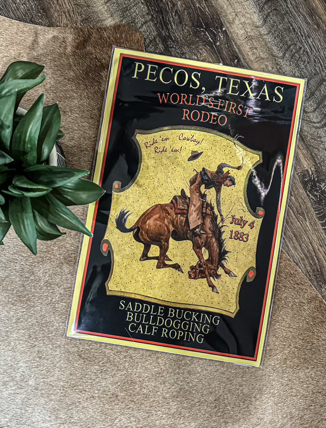 The Worlds First Rodeo Poster – Wild Horse Western