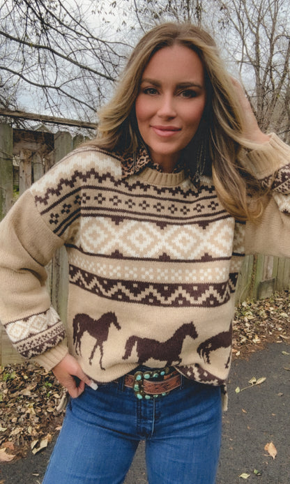 The Carousel Sweater