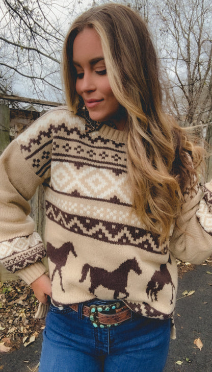 The Carousel Sweater