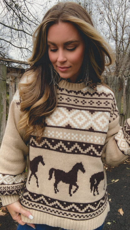 The Carousel Sweater