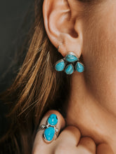 Load image into Gallery viewer, The Hooks Earrings
