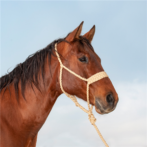 Classic Equine Wide Nose Flat Braid Halter with Lead