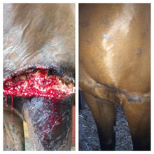 Load image into Gallery viewer, Underwood Horse Medicine