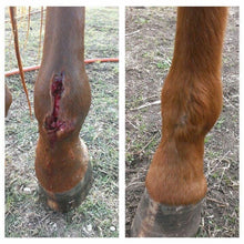 Load image into Gallery viewer, Underwood Horse Medicine